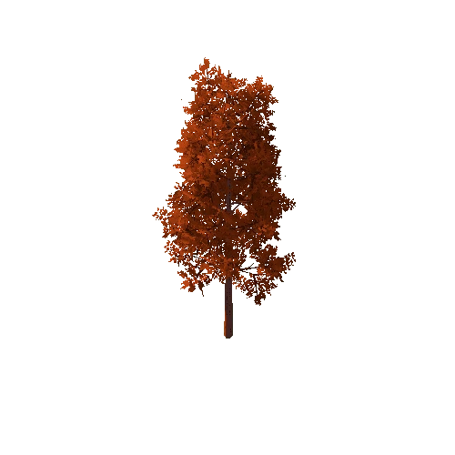 Tree_B Autumn_7